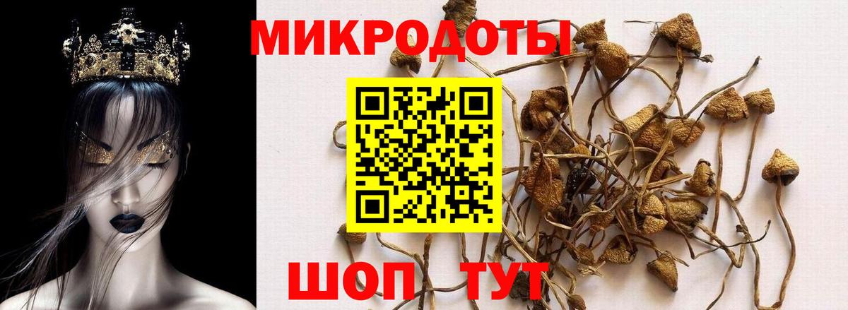 Галлюциногенные грибы ЛСД Гай
