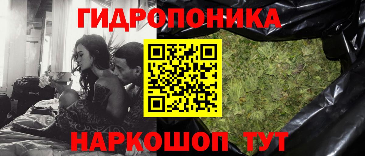 Марихуана Bruce Banner Гай